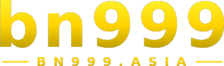 bn999 logo